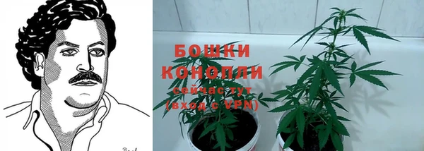 метадон Краснослободск