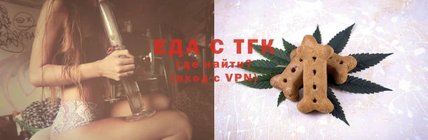 индика Краснотурьинск