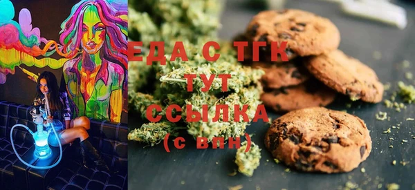 индика Краснотурьинск