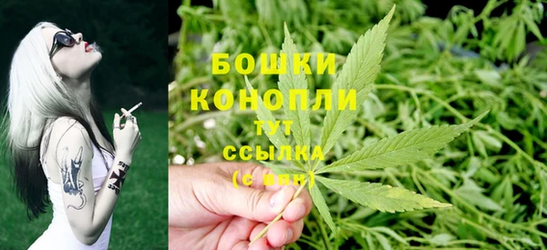 индика Краснотурьинск