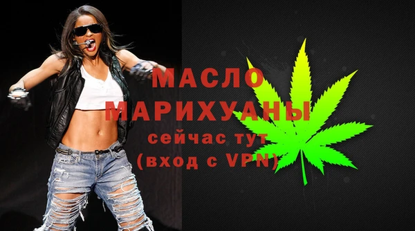 индика Краснотурьинск