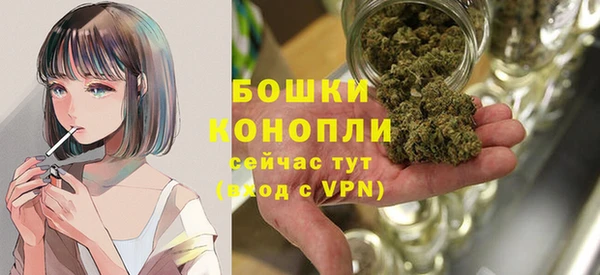 индика Краснотурьинск