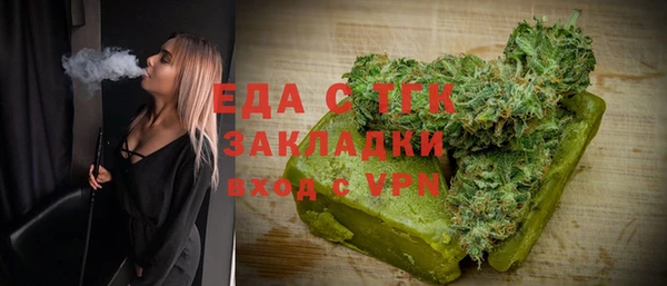 индика Краснотурьинск