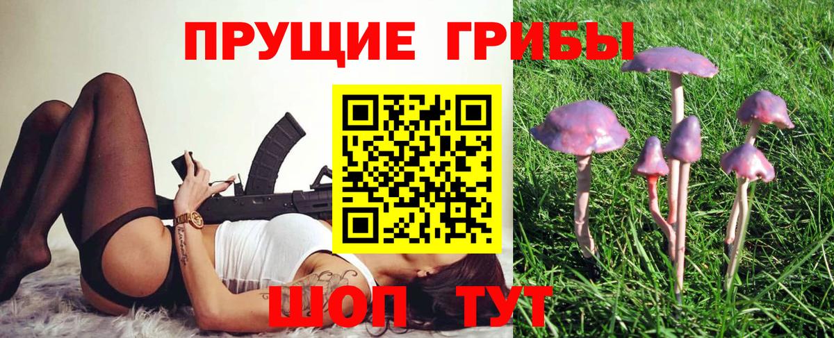 Галлюциногенные грибы мицелий Чапаевск