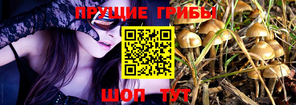 Псилоцибиновые грибы мухоморы  Вход с VPN  Чапаевск 