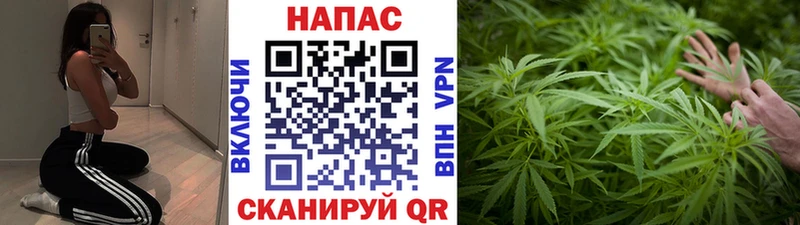 Конопля Ganja Чапаевск